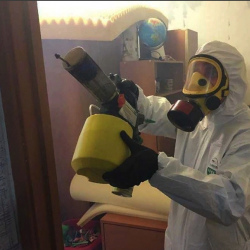 Уничтожение клопов в квартире. Валдай